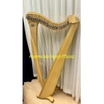 SOLD - 2nd Hand Salvi Gaia 38 strings Lever Harp SOLD - 2nd Hand Salvi Gaia 38 strings Lever Harp